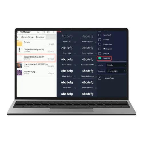 Import Any Fonts